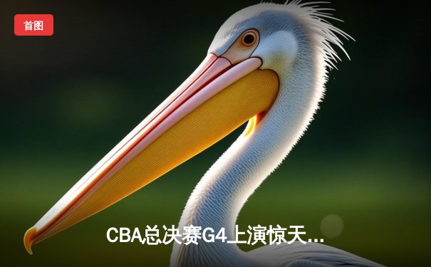 CBA总决赛G4上演惊天逆转 辽宁本钢加时险胜新疆夺赛点